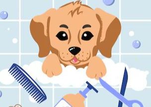 Puppy Groom