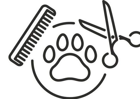 Medium Breed Full Groom