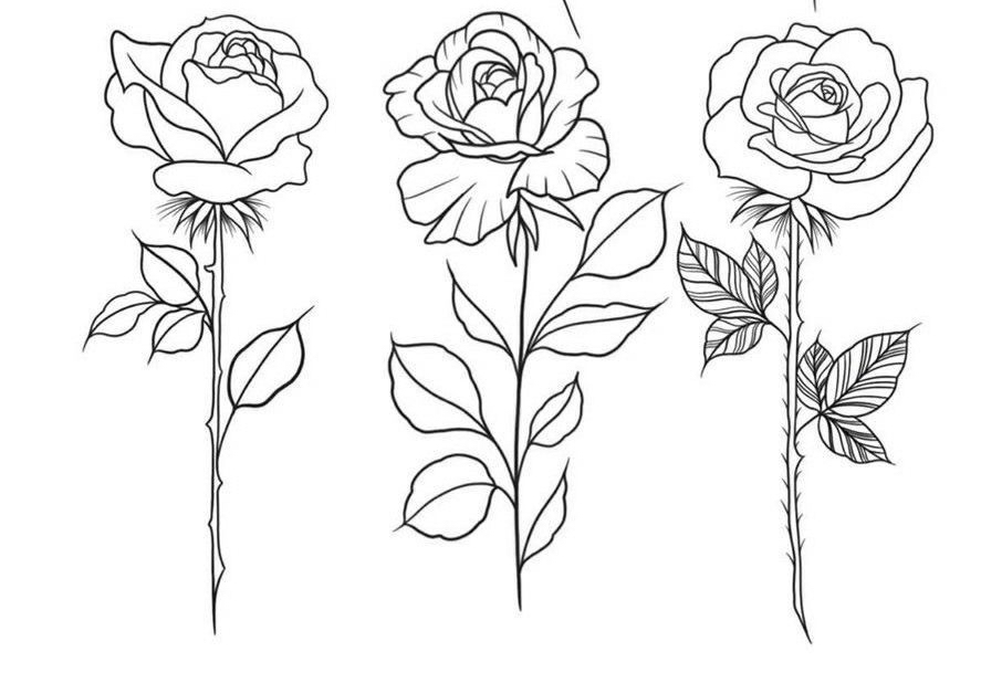 Rosas tamaño 5  pulgadas