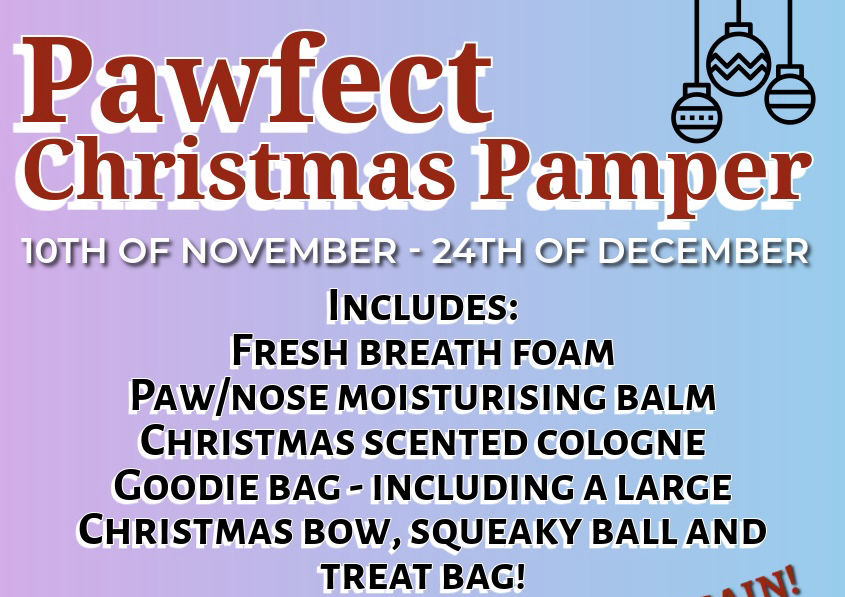 Christmas Spa package 