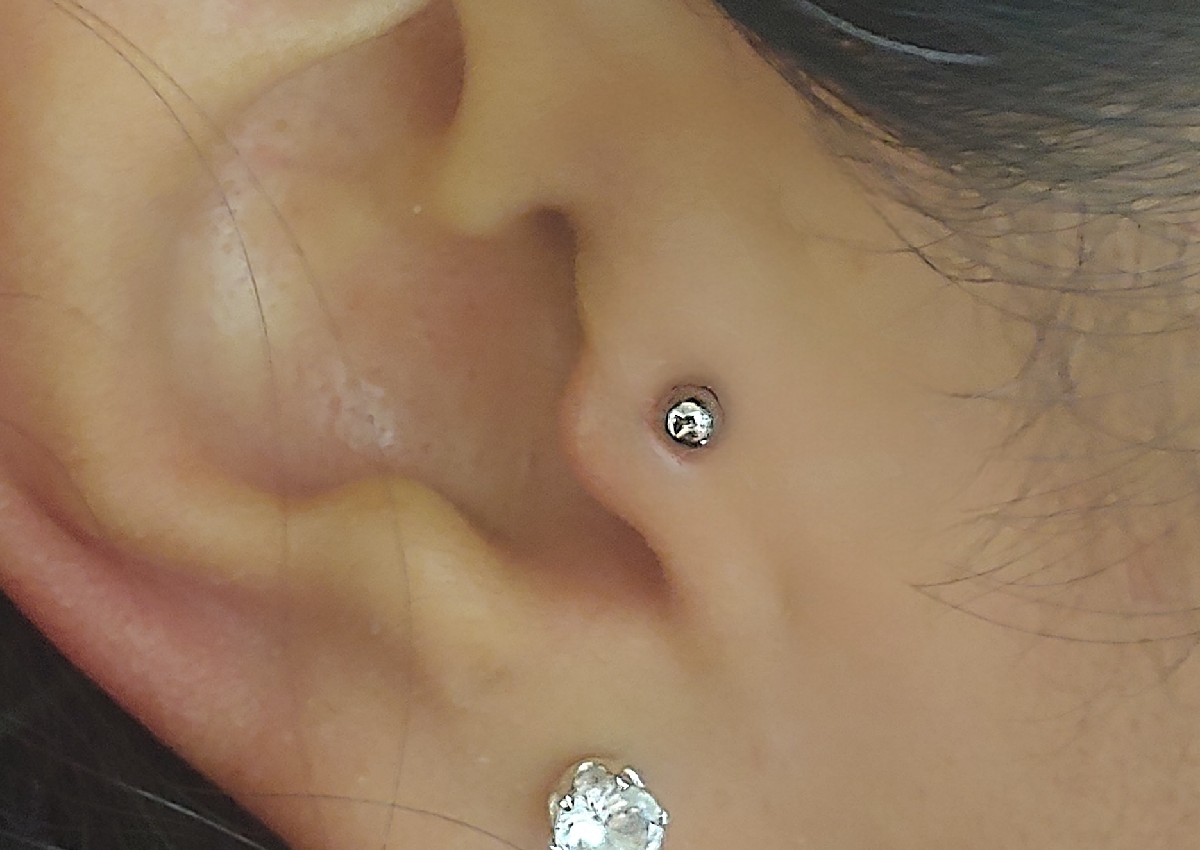 Tragus