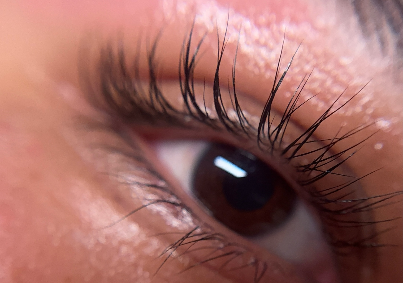 Lash Lift