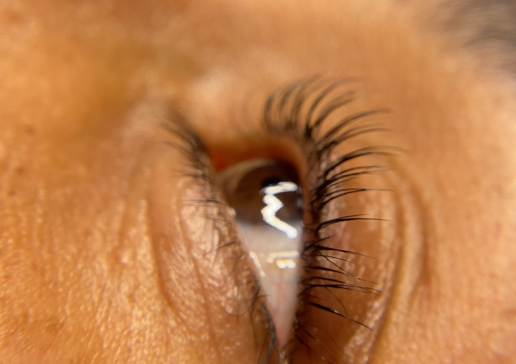 Lash Lift + Tint