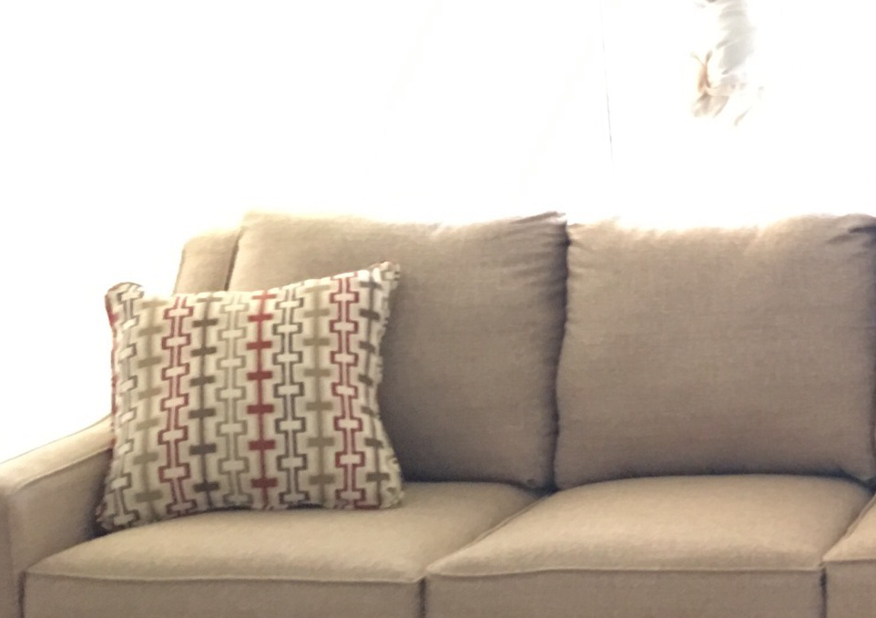 couch cleaning and rug cleaning (depending on condition of couches and depending on size of area or full size rugs)