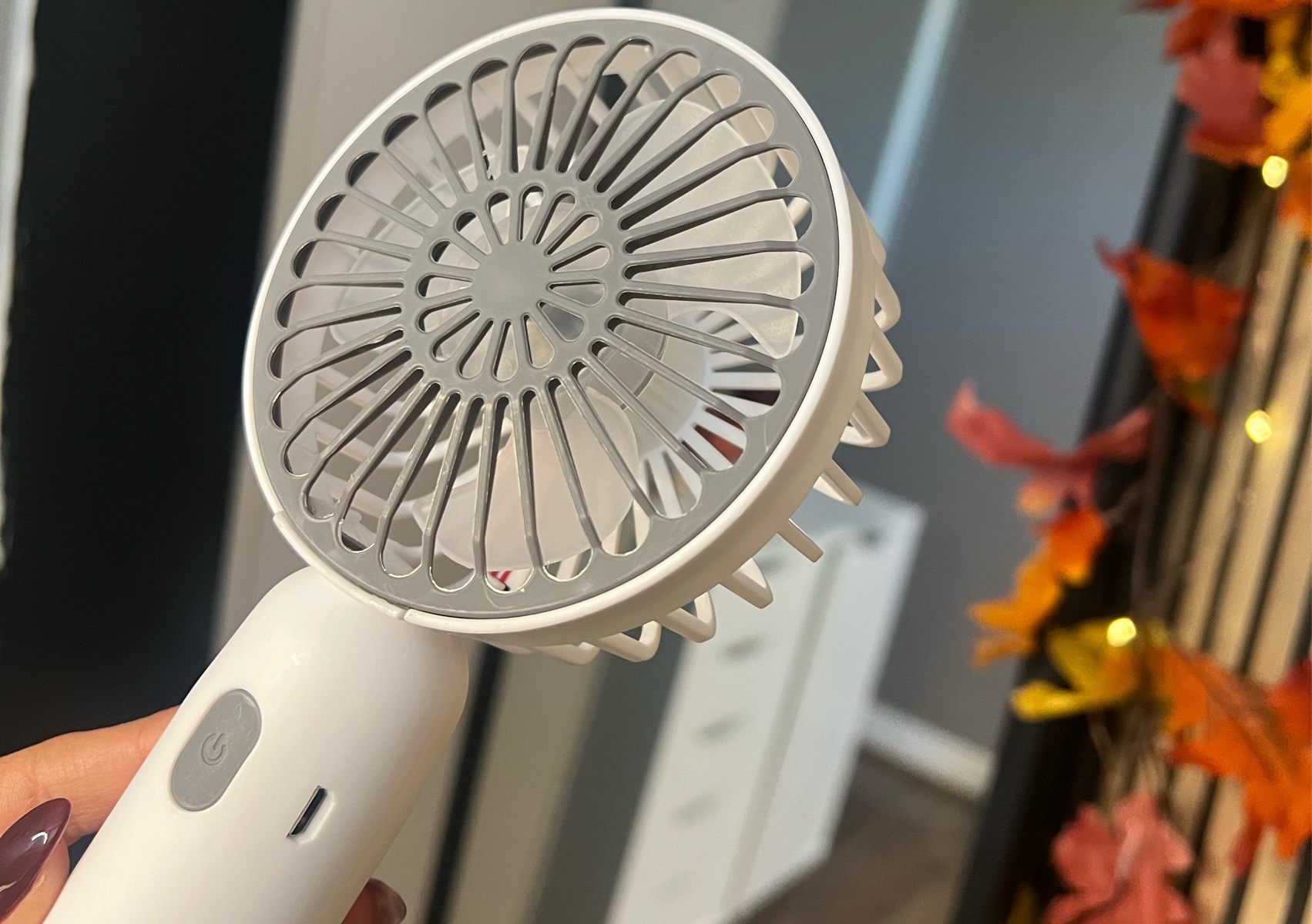 Hand held lash fan