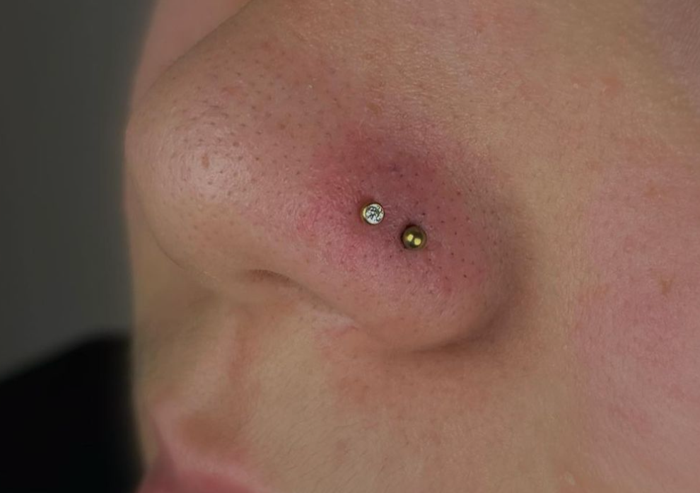 2 Piercings aux ailes du nez (x2 nostrils)