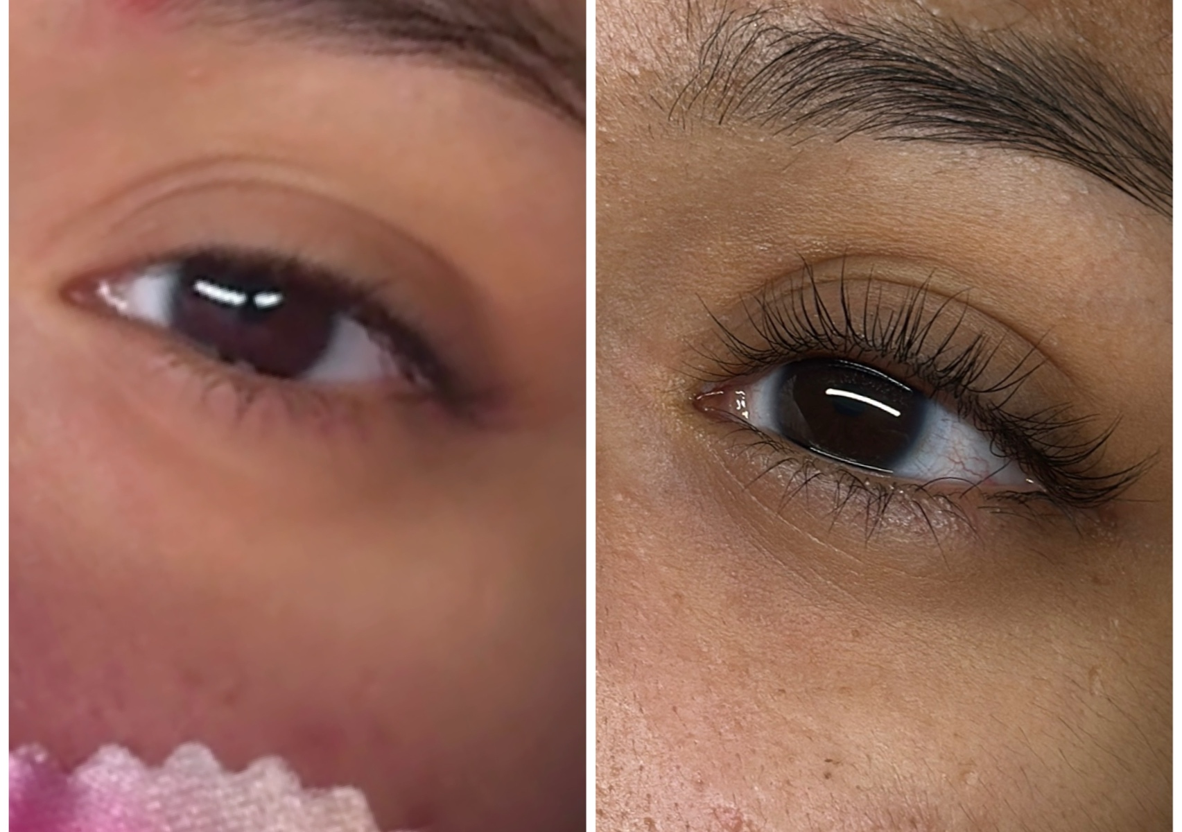 Lash Lift and Tint