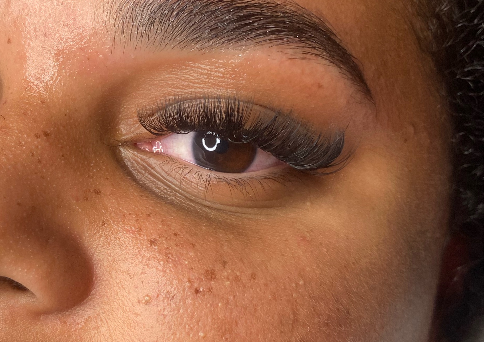 Fairy Set (Light Vol)