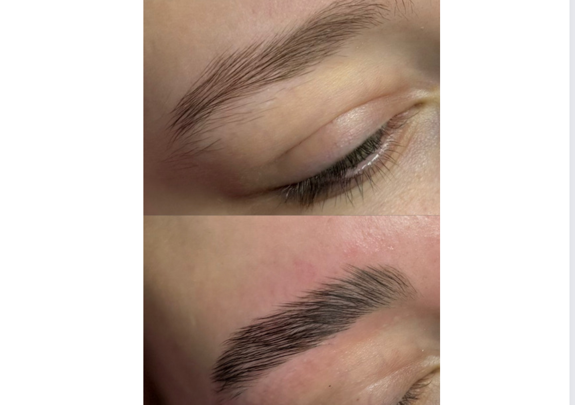 Brow Tint Only