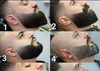 Beard Style 