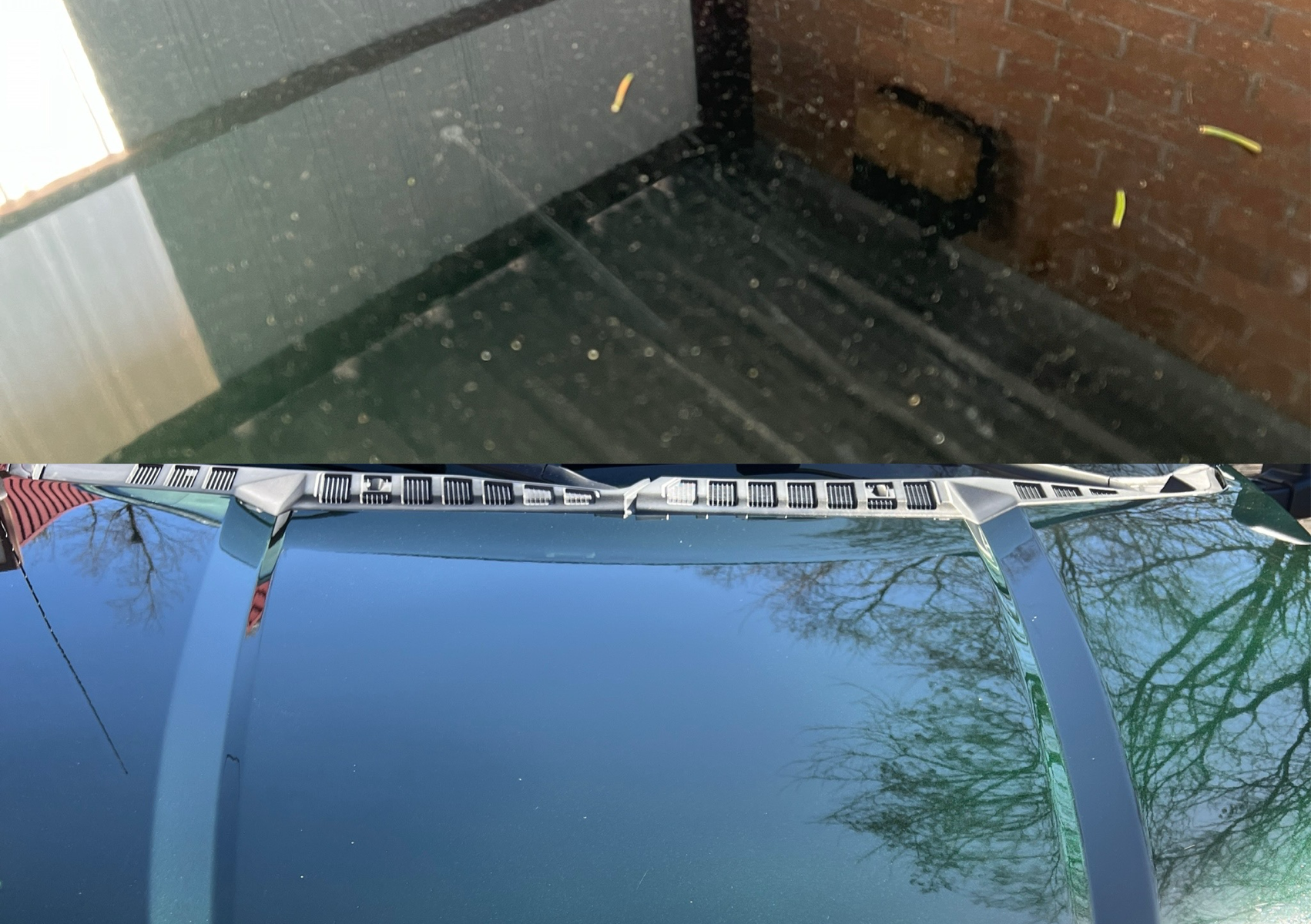 Paint Correction(Cut and Polish)