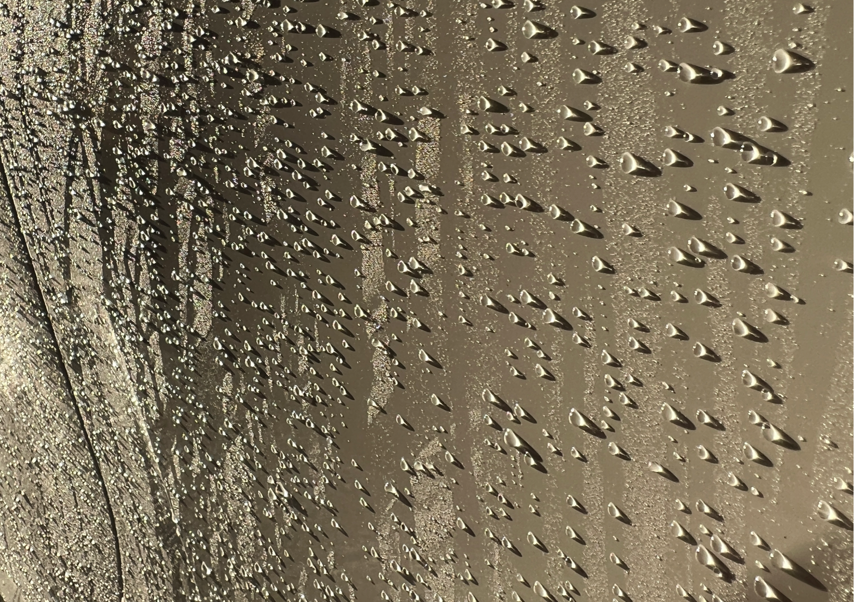 One Year Graphene NanoCoat 