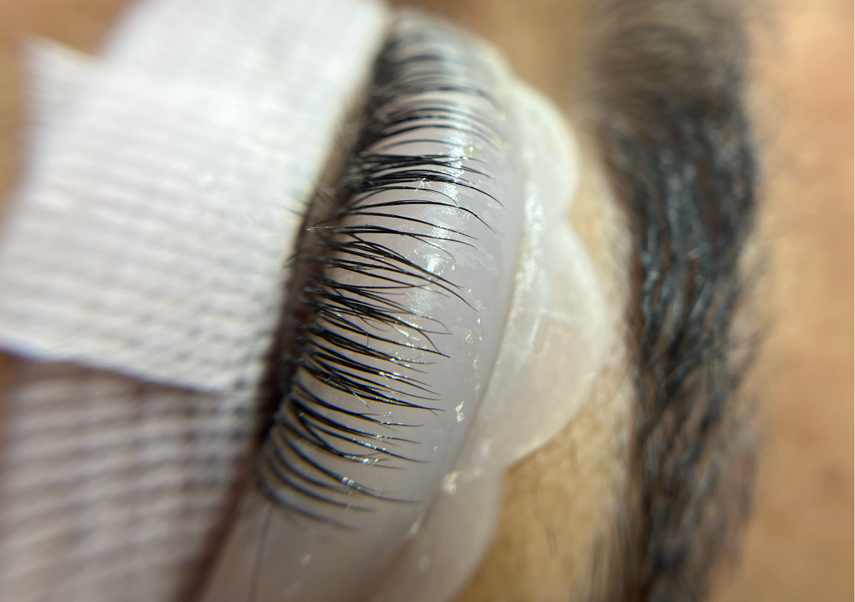 Lifting de Pestañas 