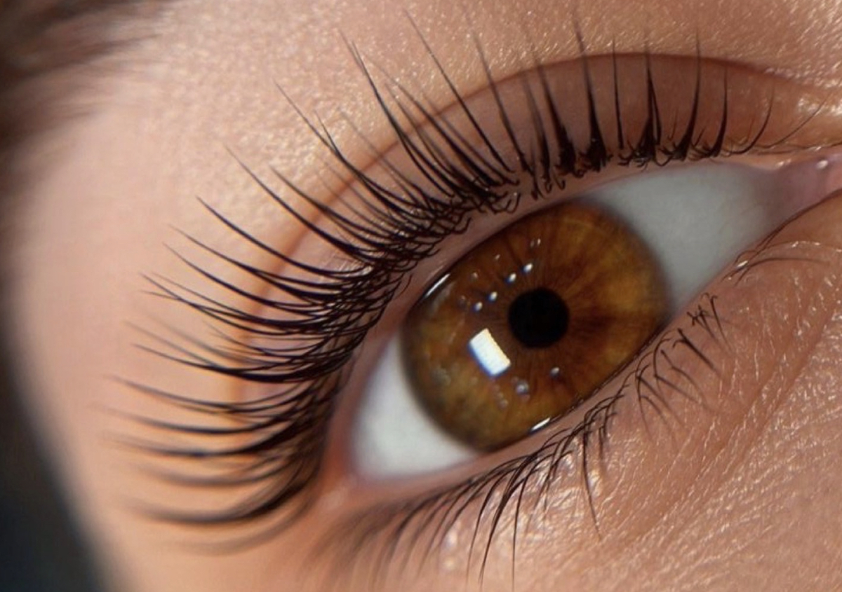 Wimpern Farbrn 