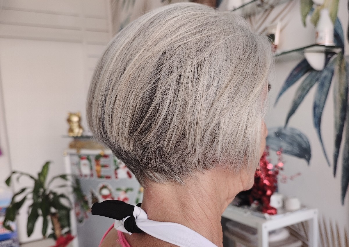 Haircut Only / Solo corte de cabello