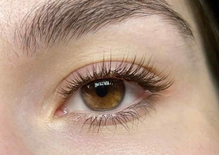 Brown Classic Lashes