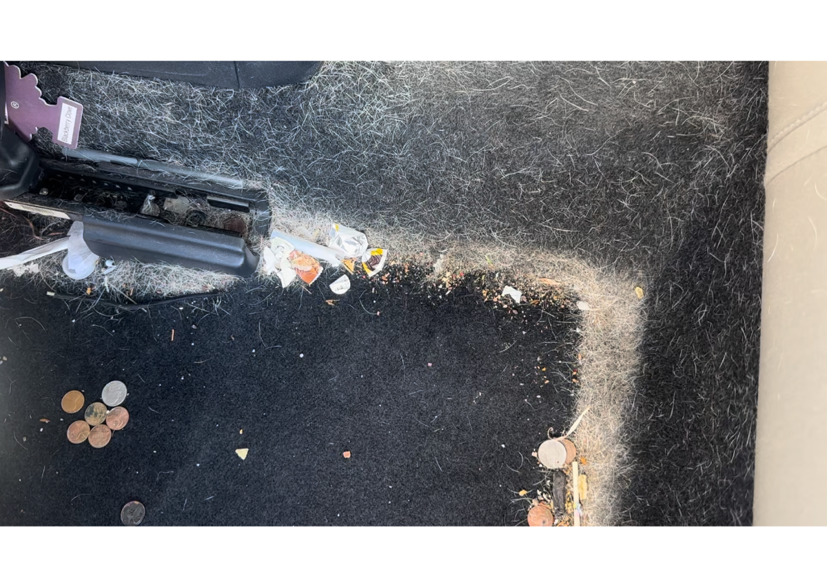 Dog Hair Removal (Additional Service)