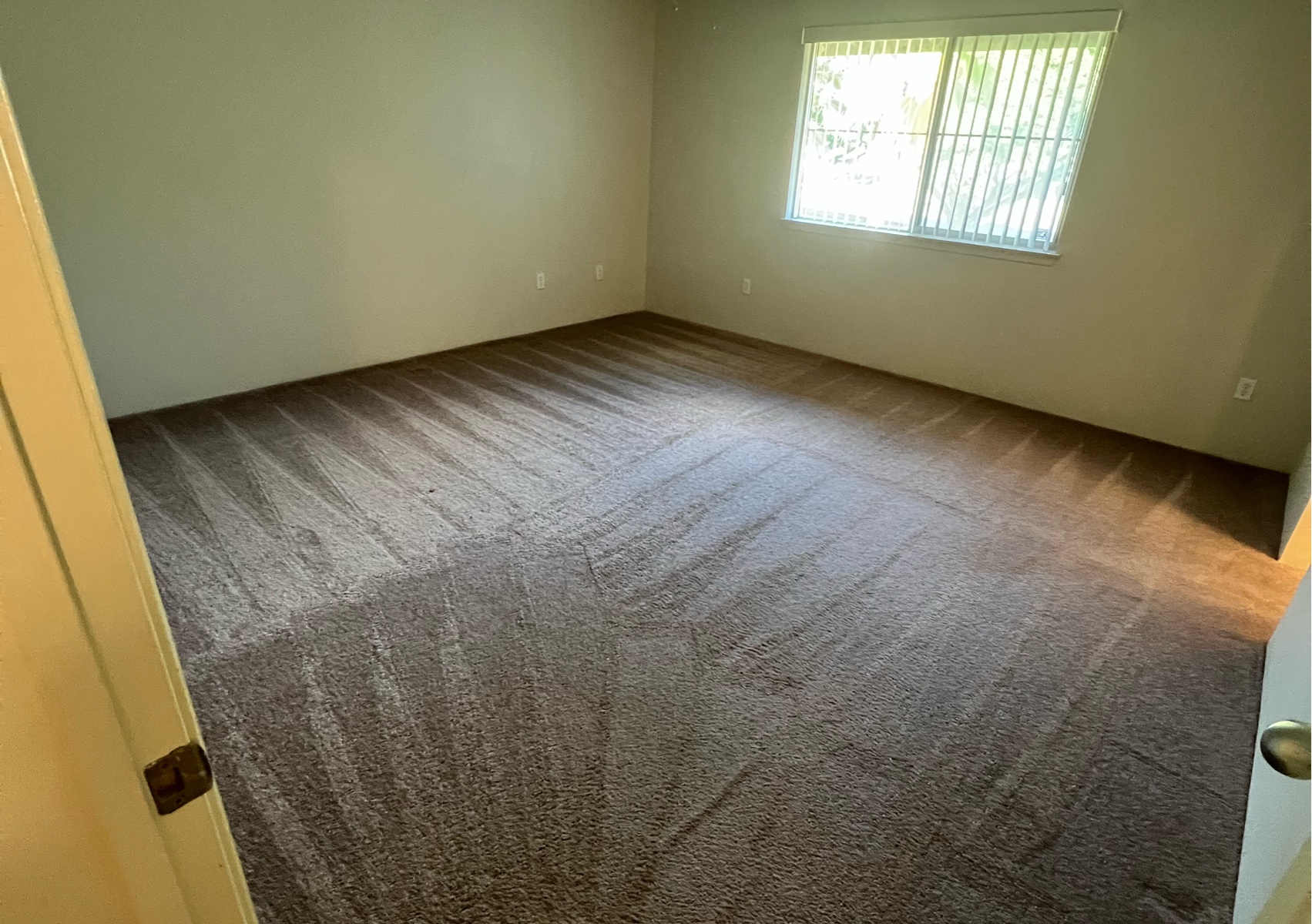 Carpet Cleaning – Standard (Per Room)