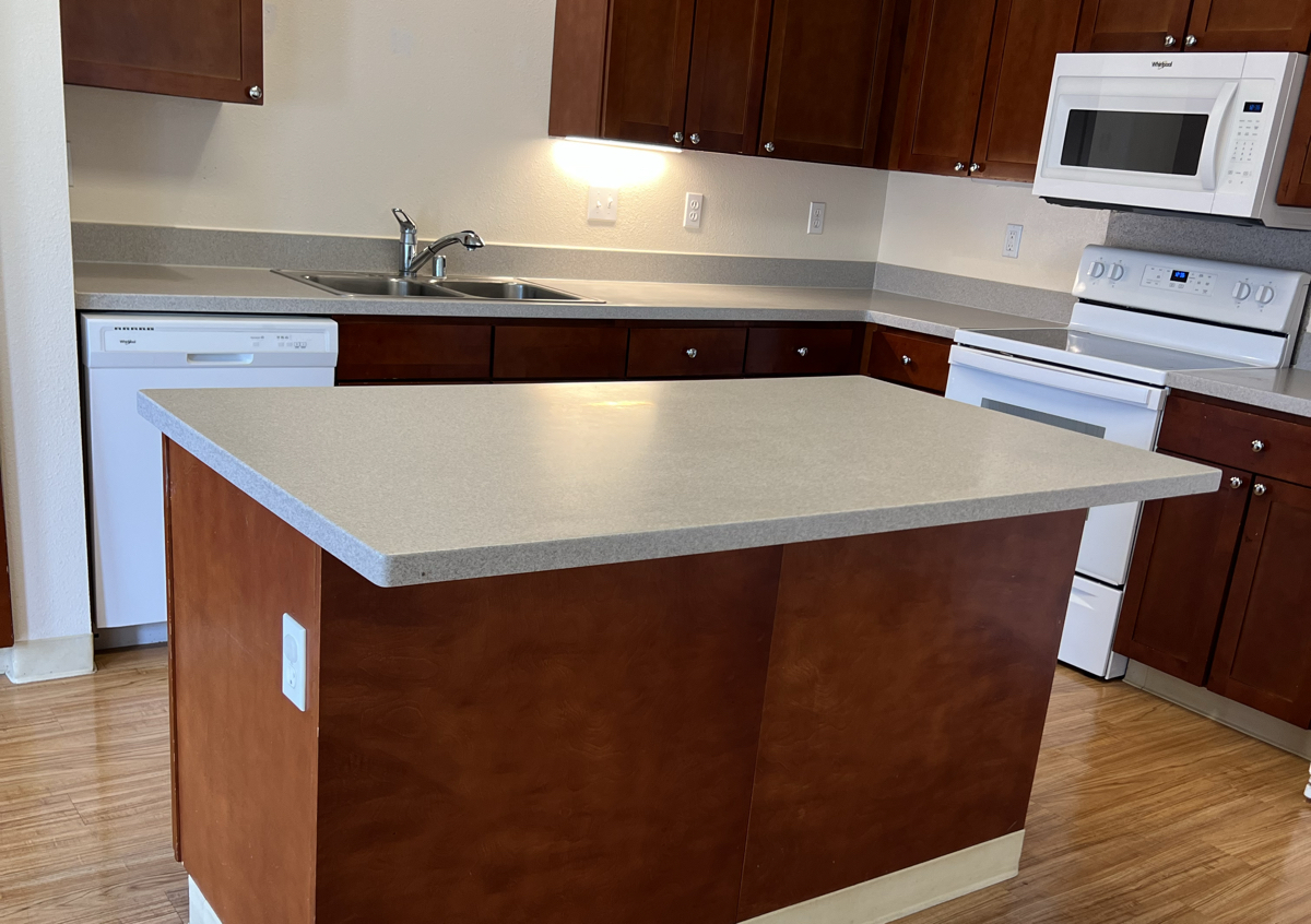 Move-Out / Inspection Clean