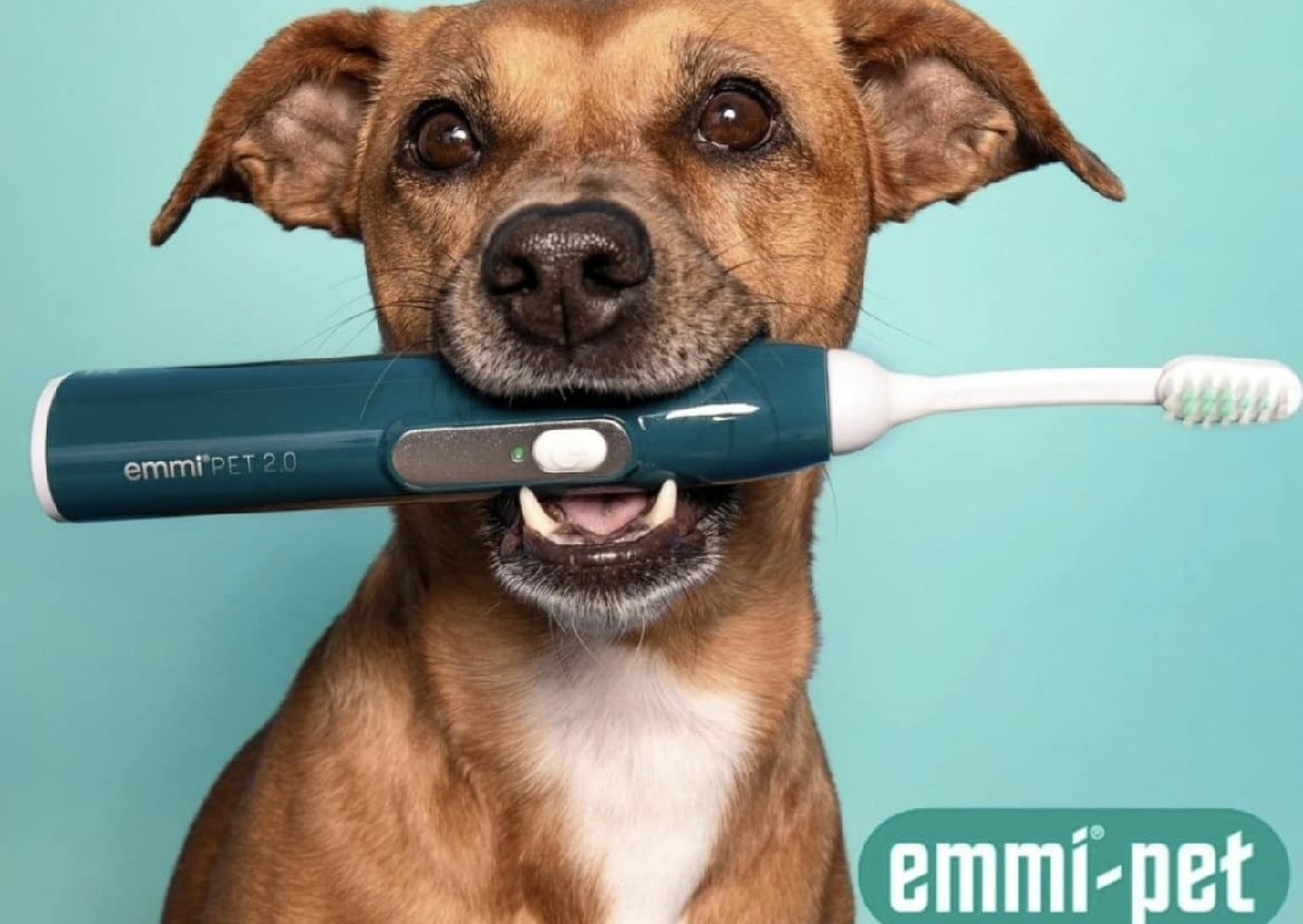 Teeth cleaning quote 