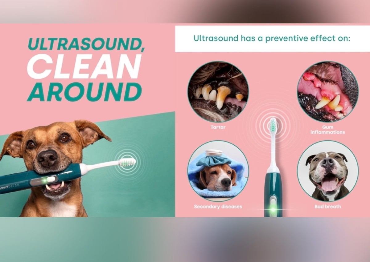 Teeth cleaning Maintenance 