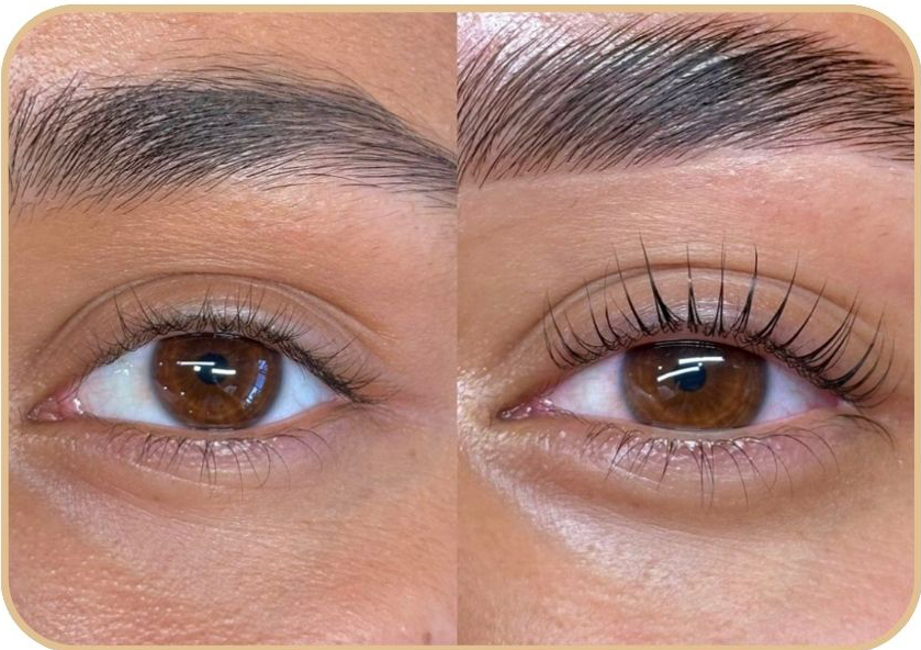 Lash lift + Laminacion cejas 