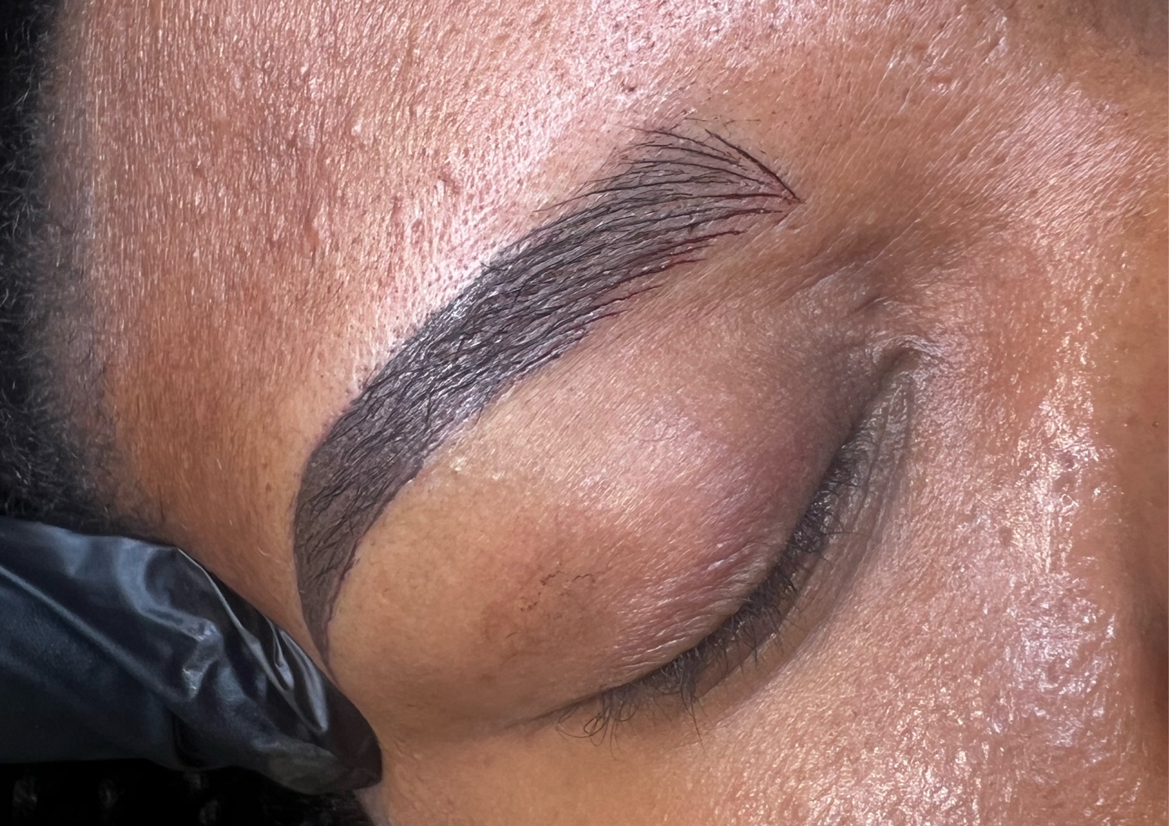 Head Artist combo brows (Bella)