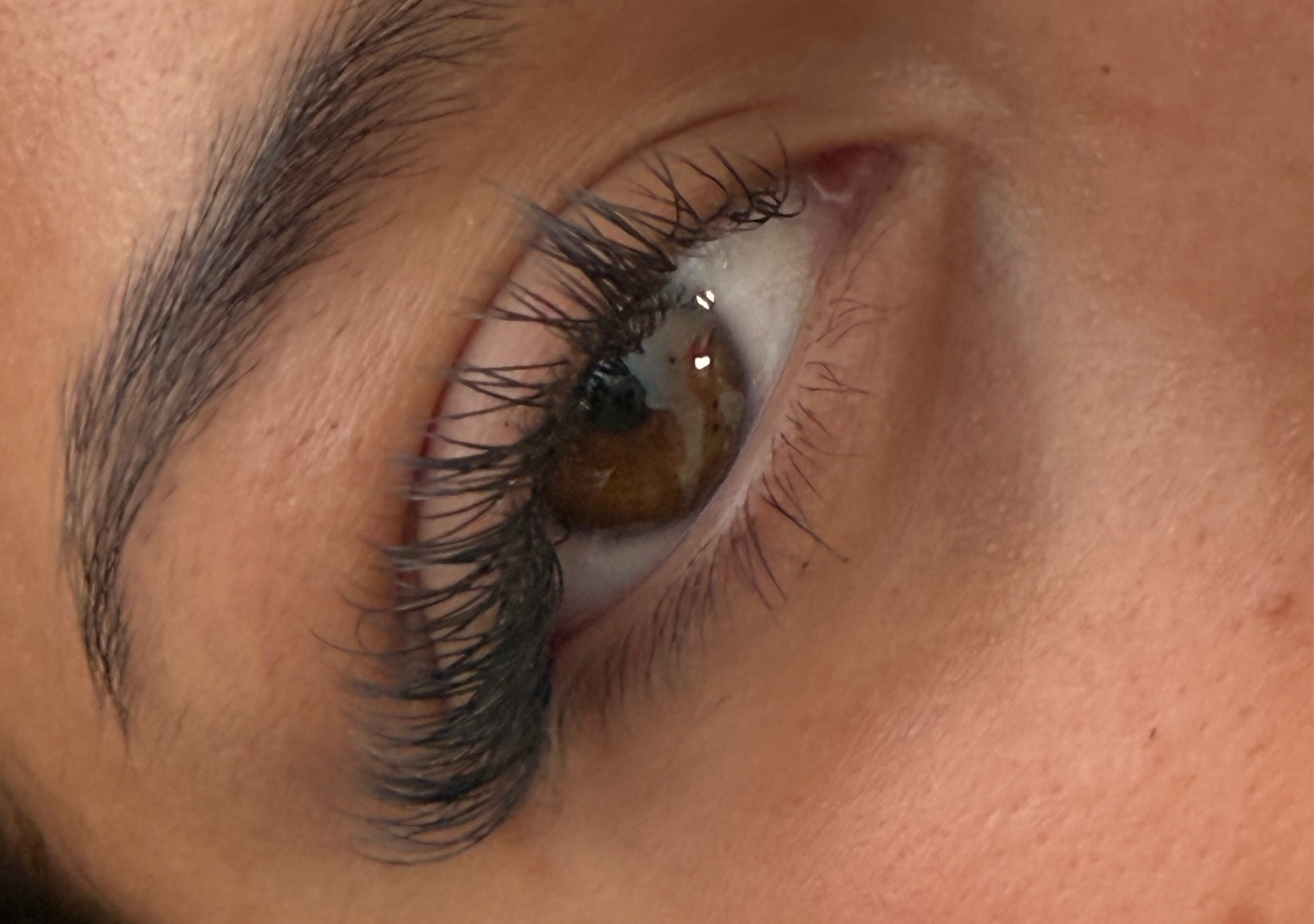 Classic Lashes New Set
