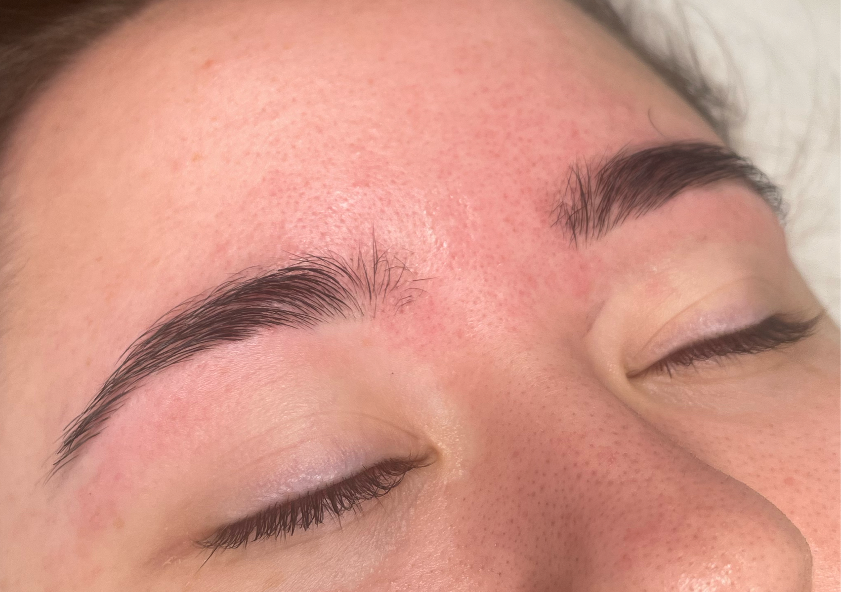 Eyebrow Wax & Tint