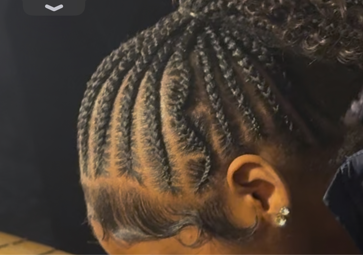 Braided ponytail