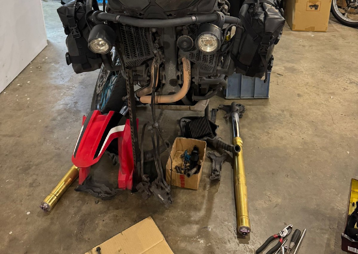 Fork services all models