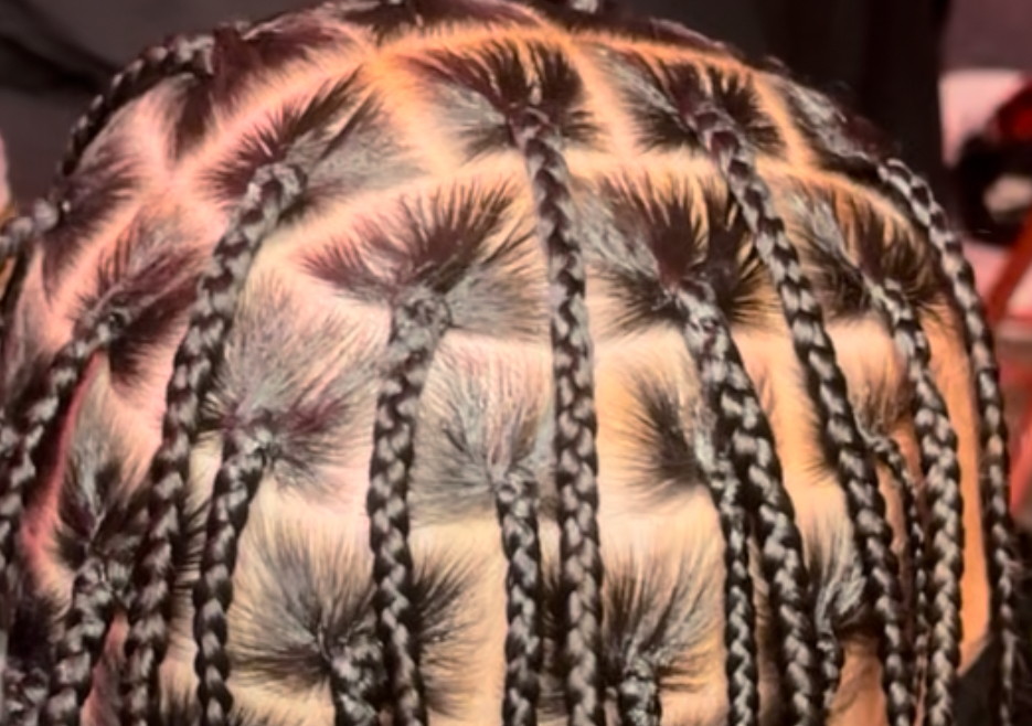 Plaits ( Medium )
