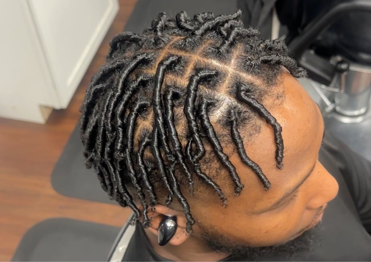 Starter Locs