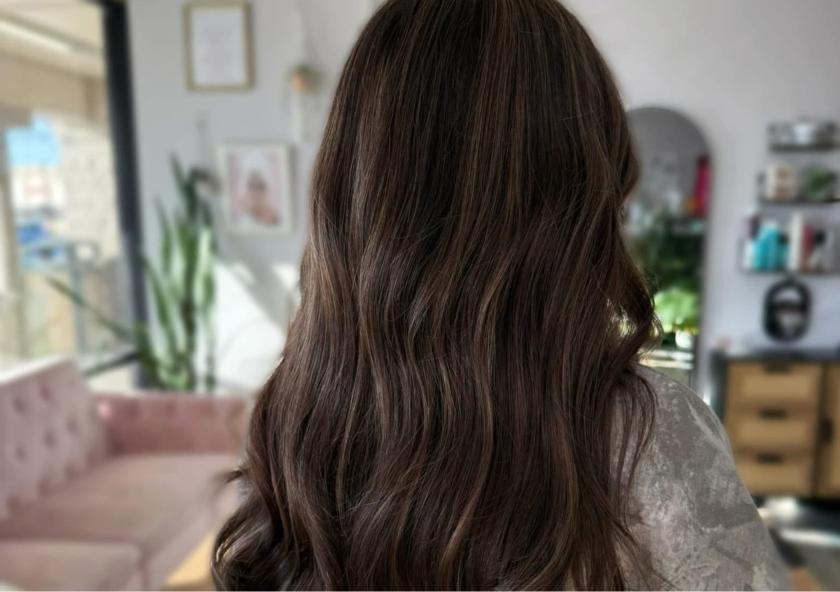 Teddy Bear Brown 🐻