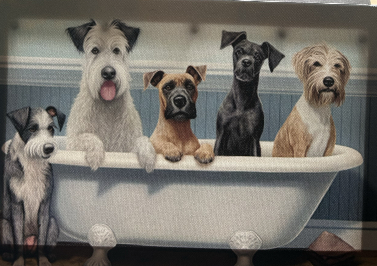 3 Groom Set (SMALL ONLY)