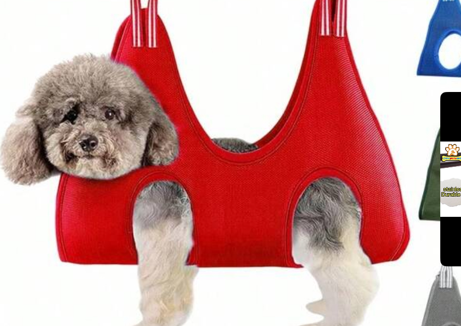 Puppy nails swing (CHECK AVAILABLE STOCK)