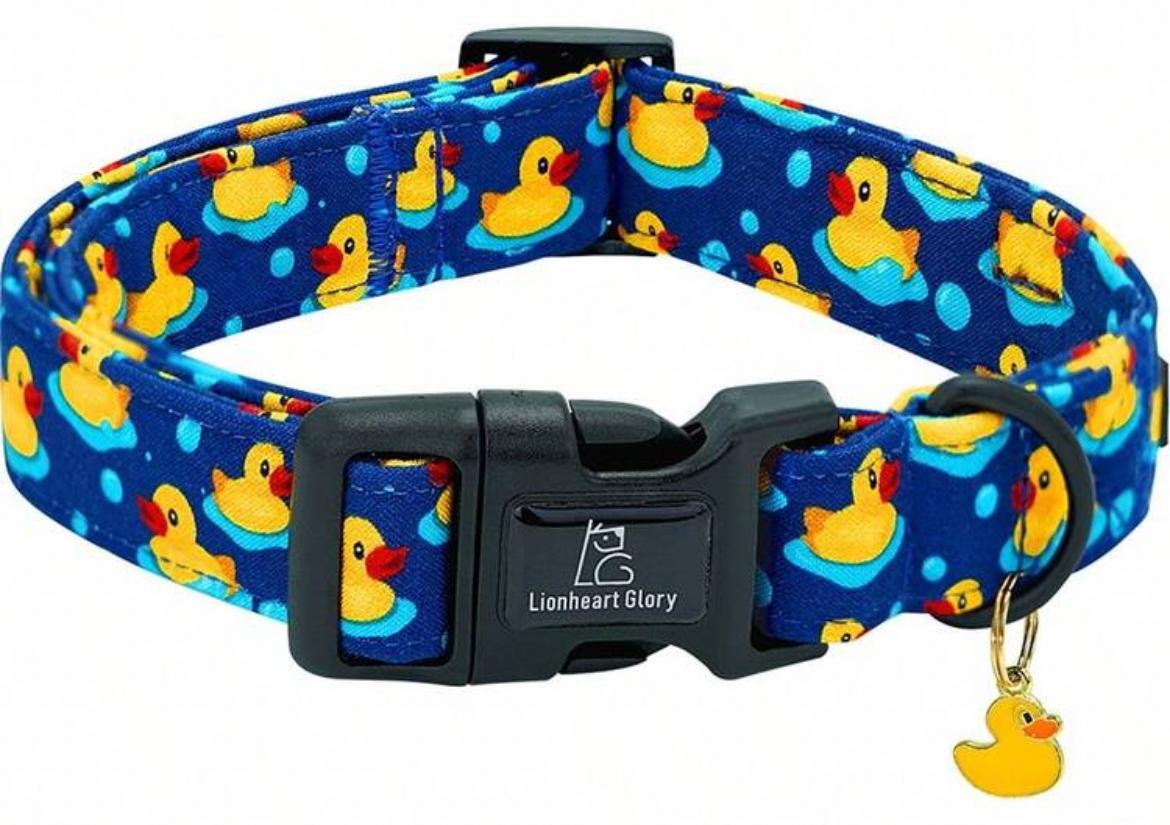 Medium dog duck collar with duck charm.