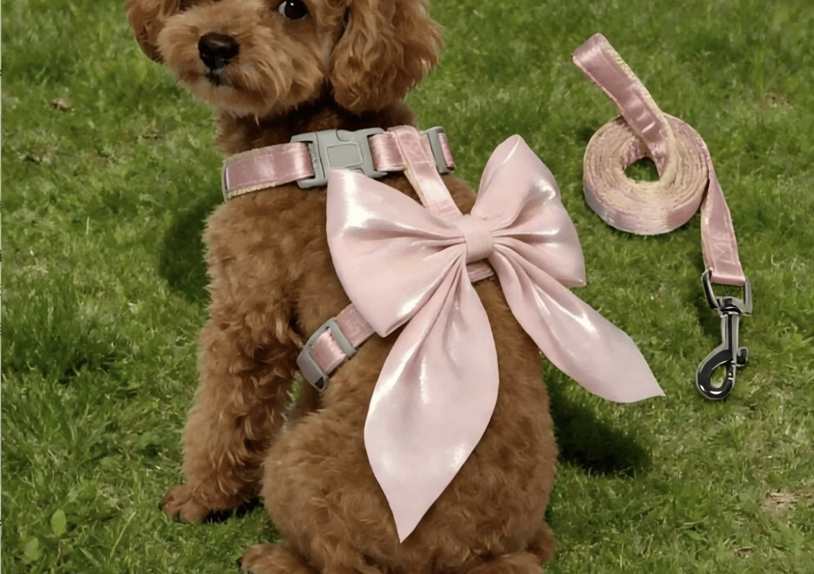 Med/lg sateen bow harness