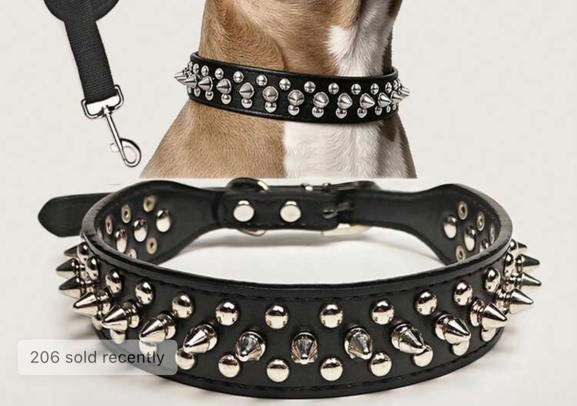 Medium leather studded/ spiked collar