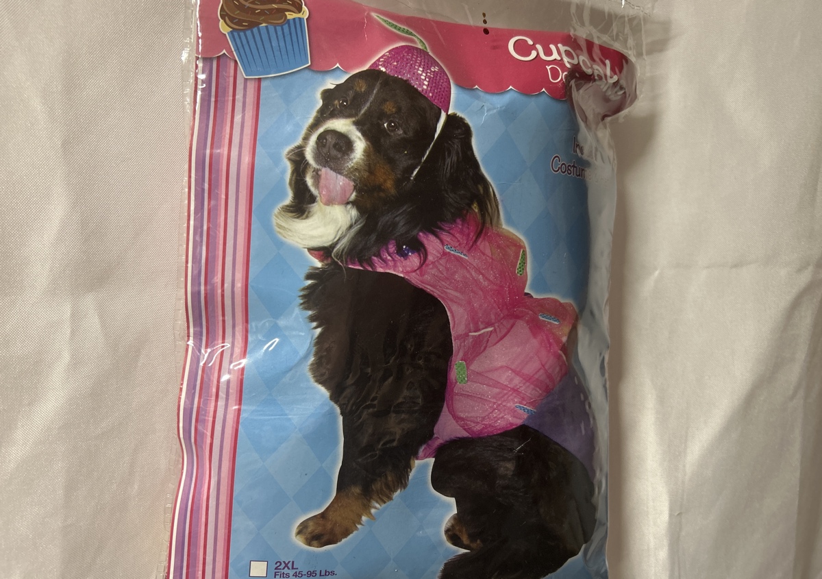3XL dog cupcake costume