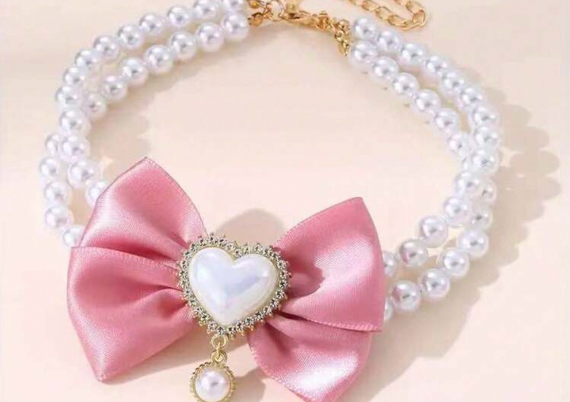 Large dog necklace