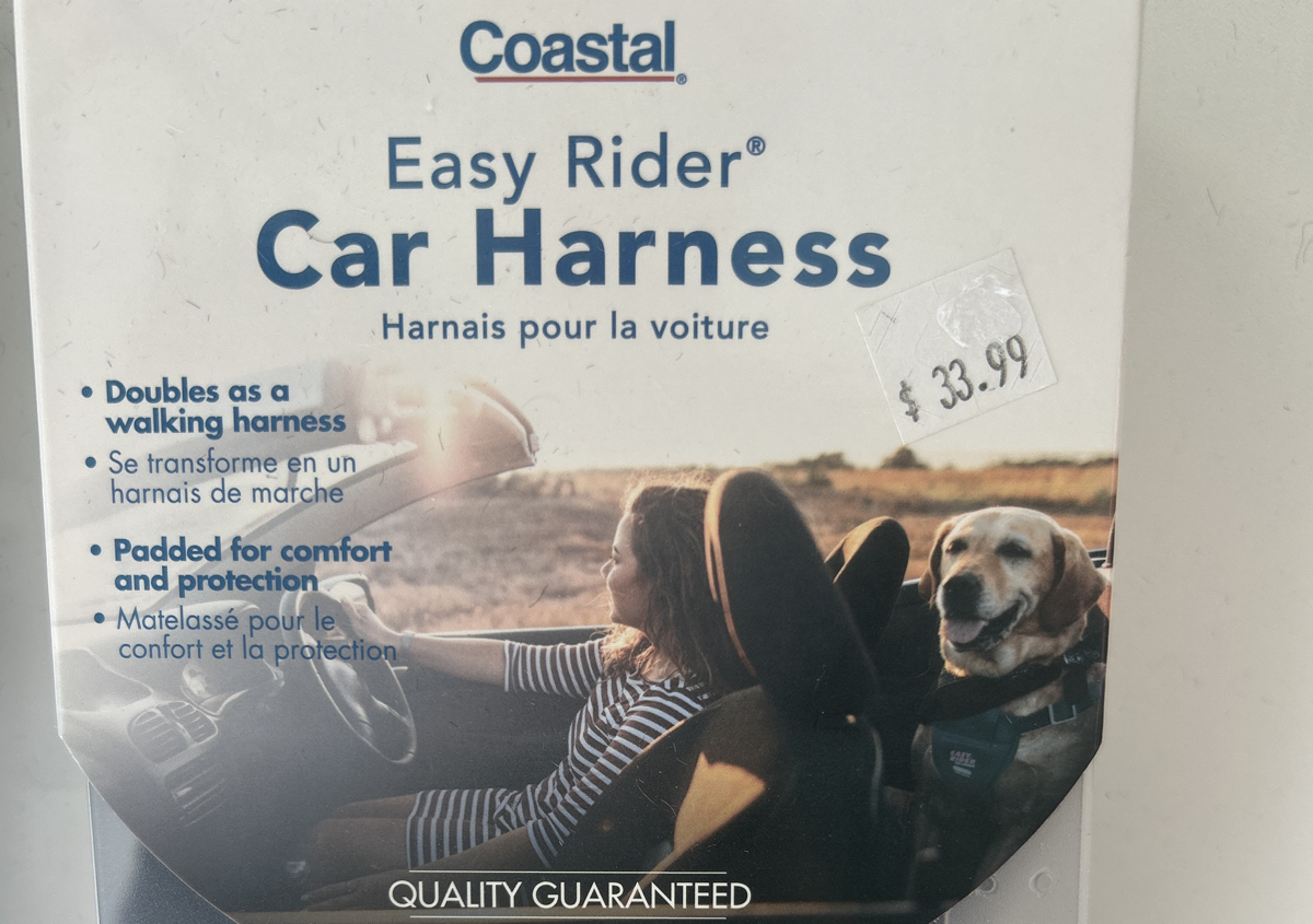 Small dog car harness