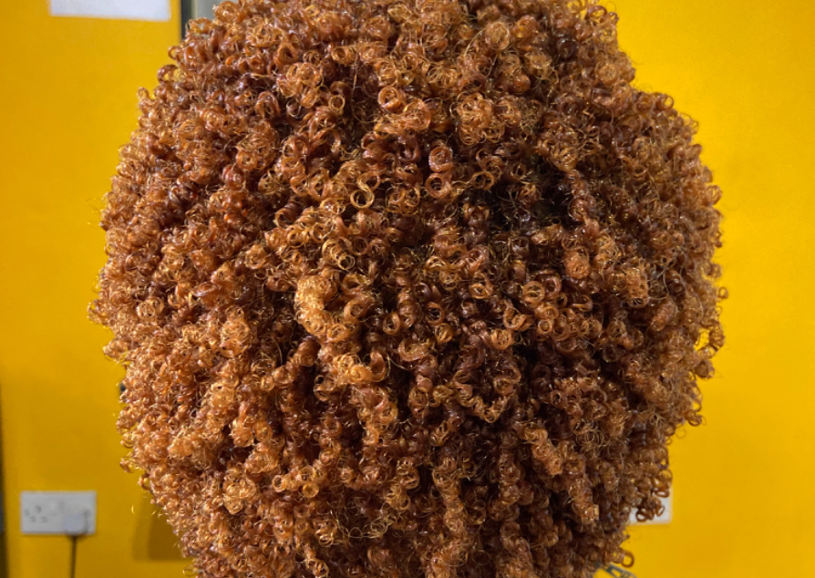 KINKY CURLS and wash. 