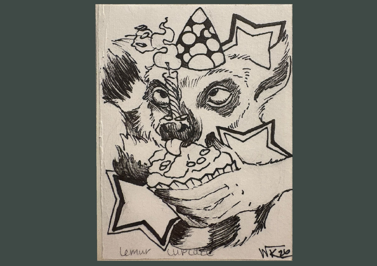 Willow- Lemur and Cupcake