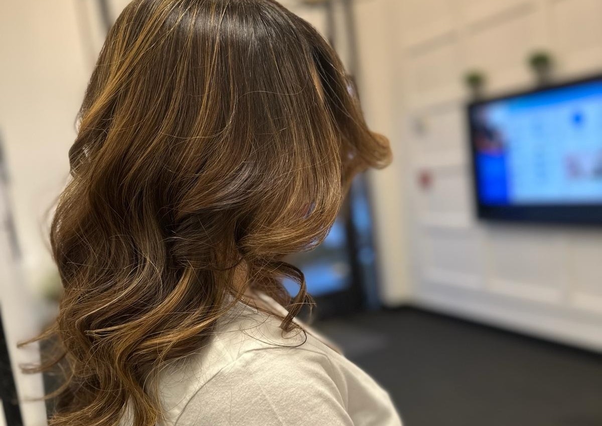 Highlights $115 & UP