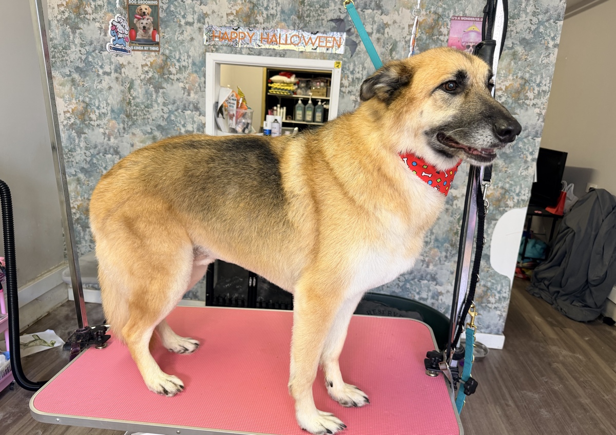 De shedding (Spa Treatment upgrade.) (2/5)