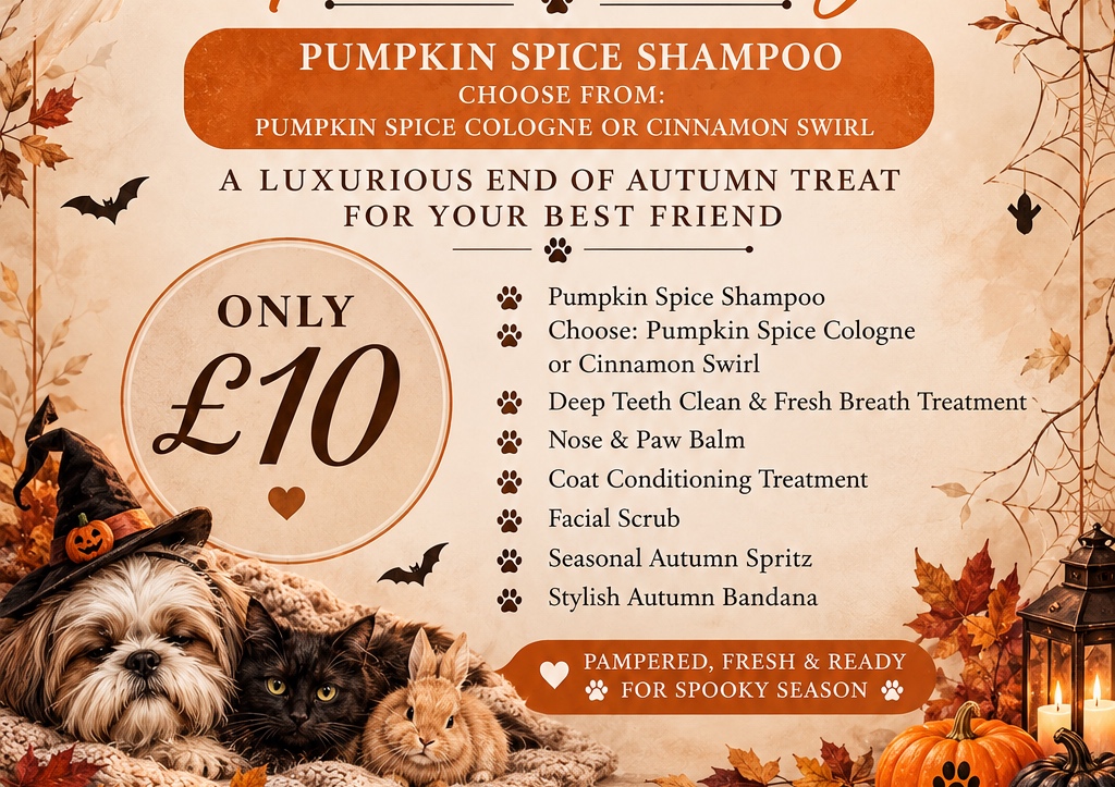 Halloween Spa (Bath & Brush or Full Groom Upgrade)  (2/2)