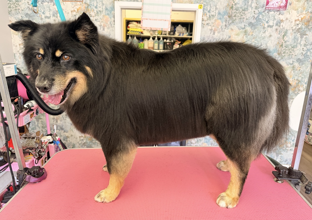 De shedding (Spa Treatment upgrade.) (5/5)