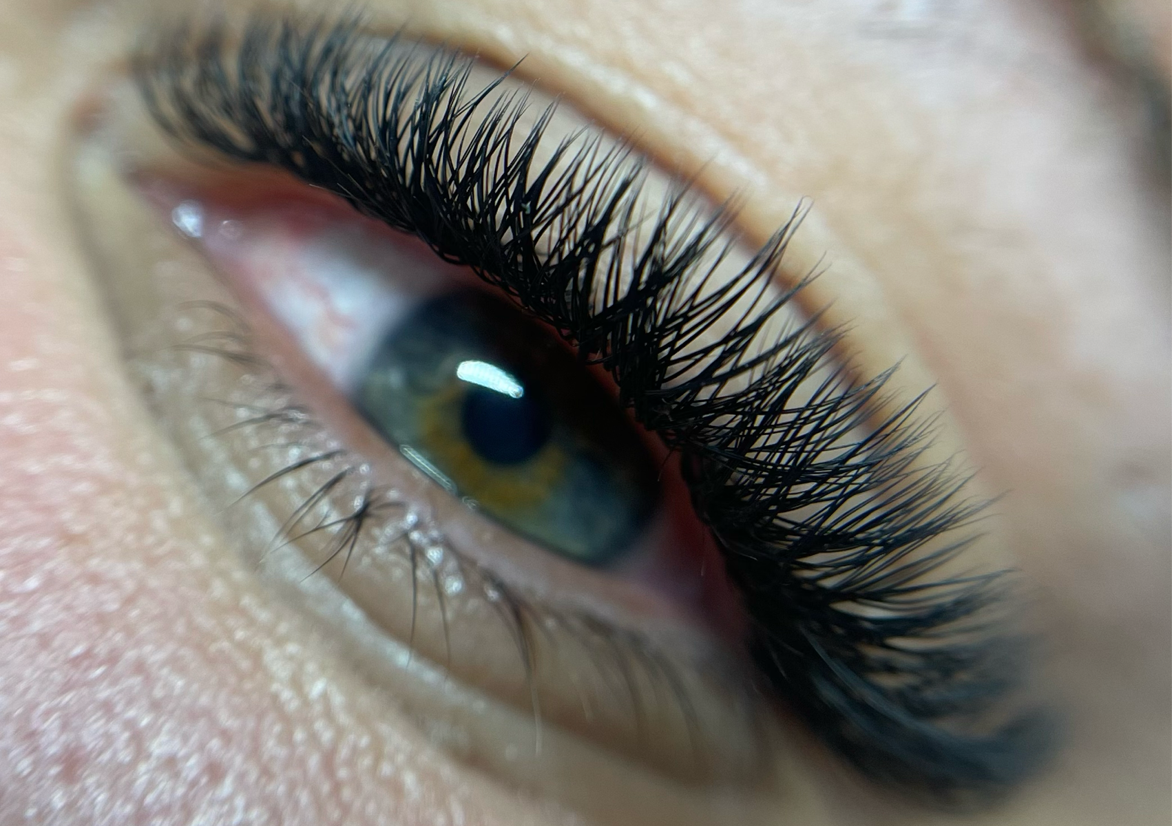 YY (Volumen Brasileño) 