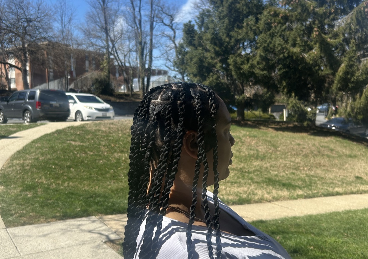 Senegalese / Island twist 